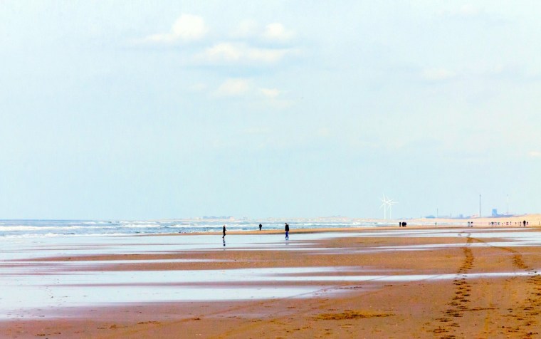 kira-laktionov-109781