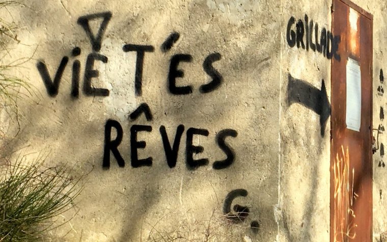 IMG_2889 10-11-20-363.JPG