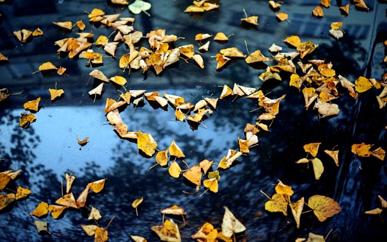 roman-kraft-421410-unsplash