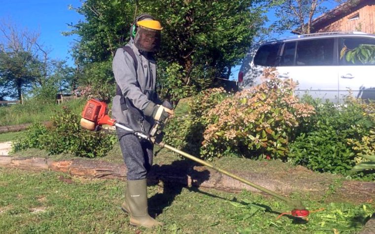 d3f1cabe-78c6-4d8a-a388-f3148e63a181