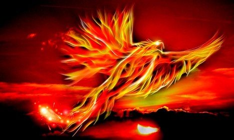 phoenix-500469_1920