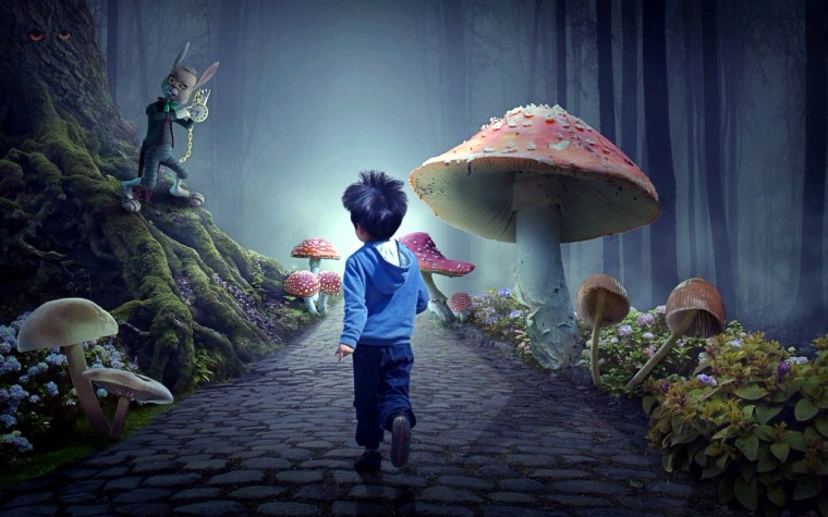 fairy-tale-forest-4606645_1920