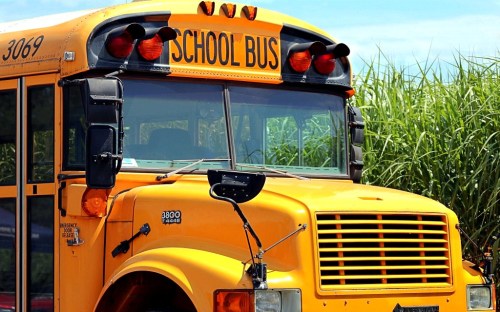 school-bus-4406479_1920