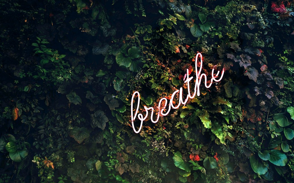 tim-goedhart-vnpTRdmtQ30-unsplash