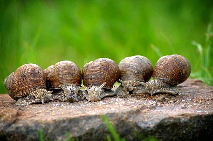 67a76e38-5c49-4cdb-98a0-01b4009803df