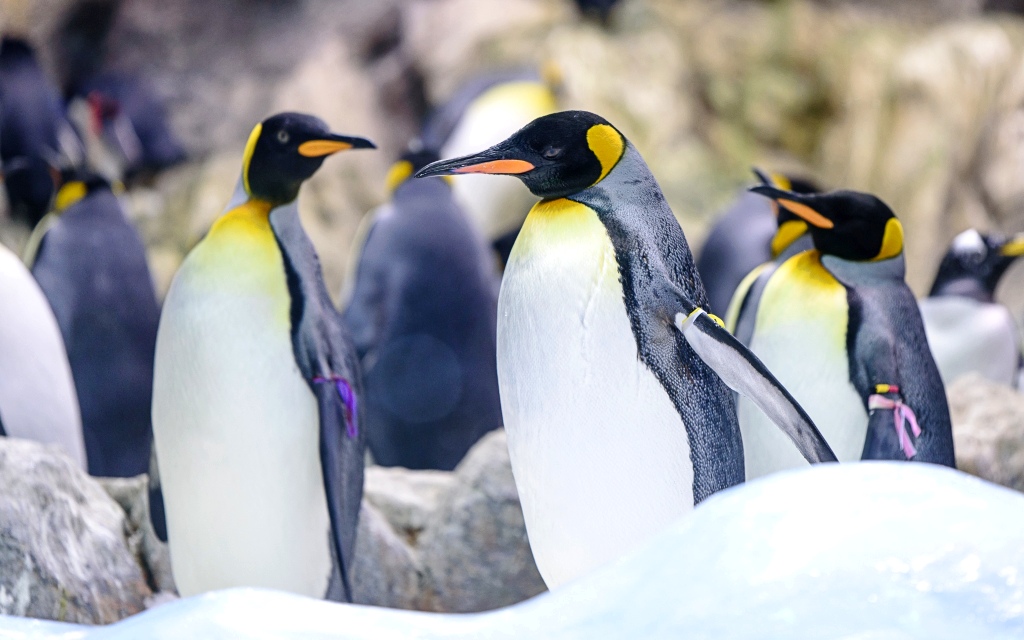 michal-mrozek-VwUHNE7KZKg-unsplash