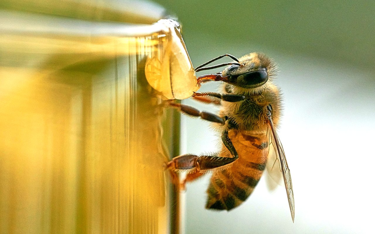 leandro-fregoni-SLgbKHthfpA-unsplash