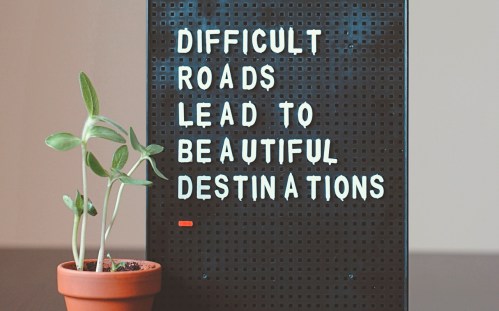 hello-i-m-nik-z1d-LP8sjuI-unsplash