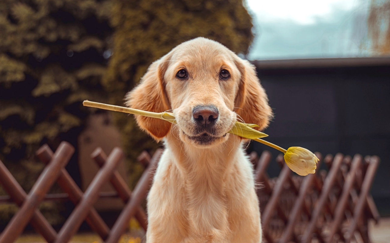 richard-brutyo-Sg3XwuEpybU-unsplash