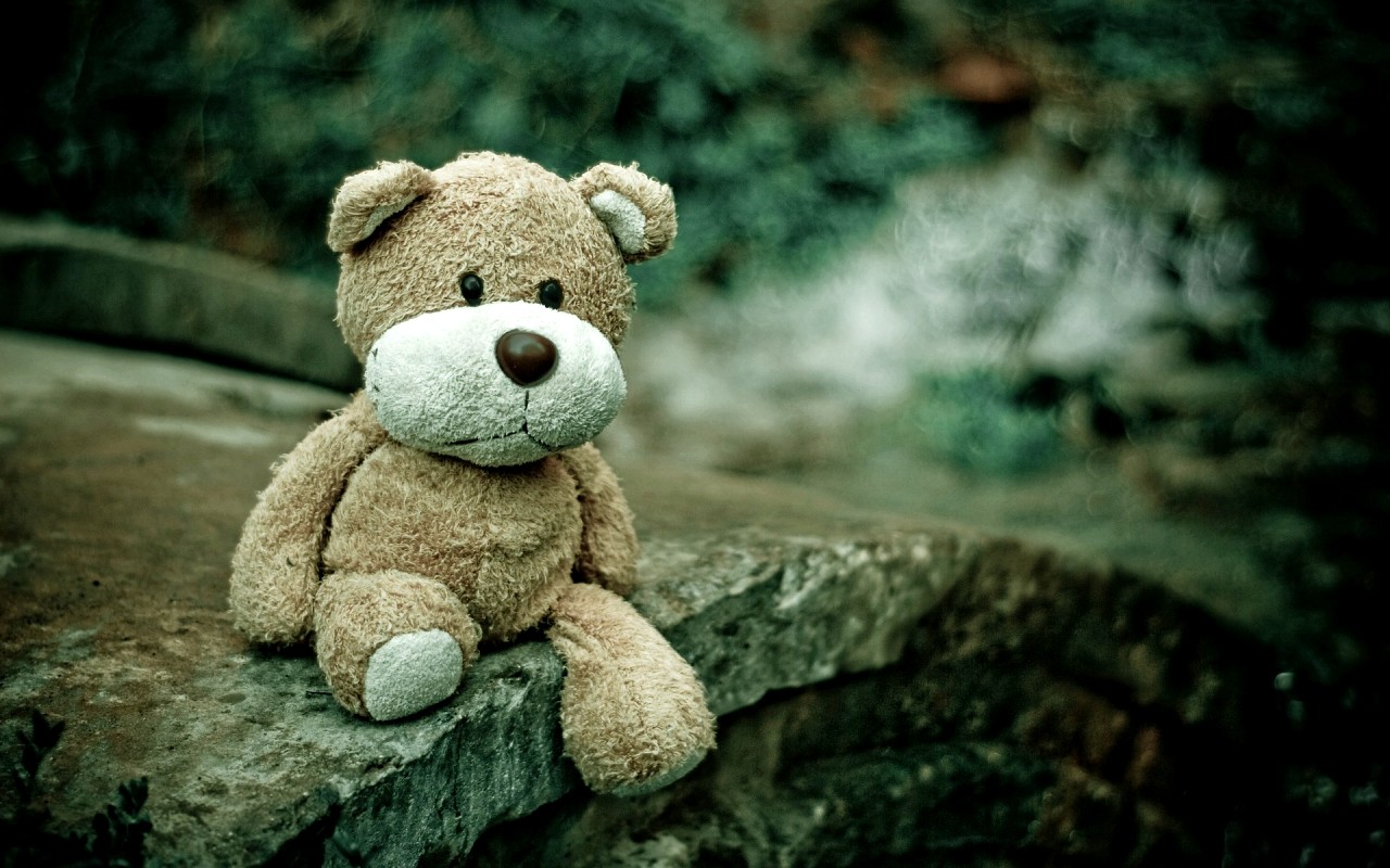 teddy-bear-1835598_1920