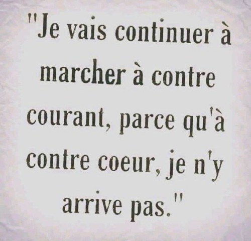 78f6b2c5-f5f8-4ff7-b6bc-2ca7fe5411fa