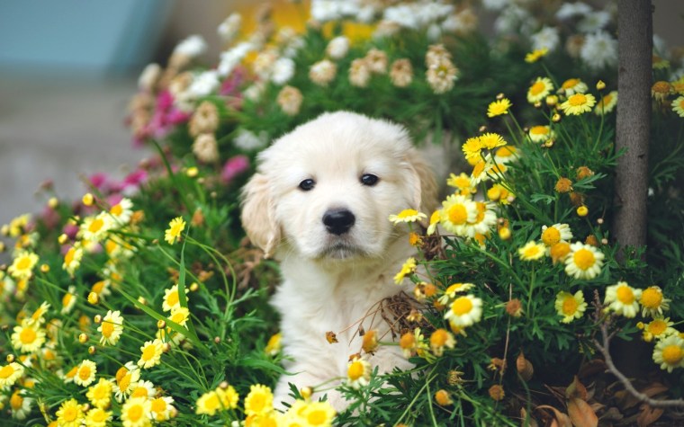 hendo-wang-DsGeUBaJPwc-unsplash