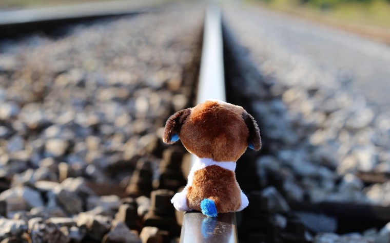 stop-children-suicide-2780203_1920