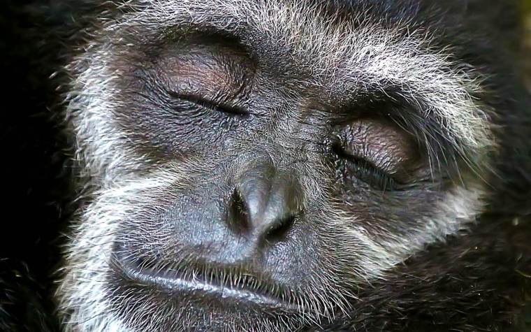 vitaliy-anokhin-60CthkkW-e8-unsplash