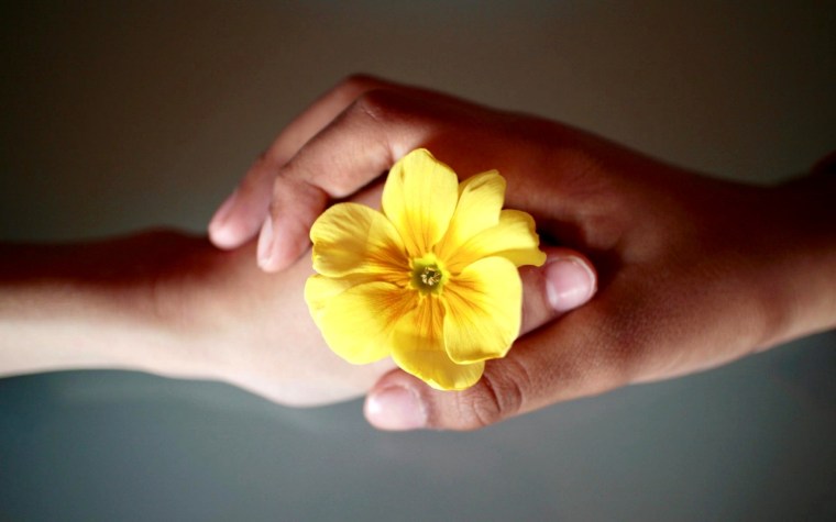 brotherhood-2173097_1920