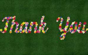 thank-you-3262350_1920